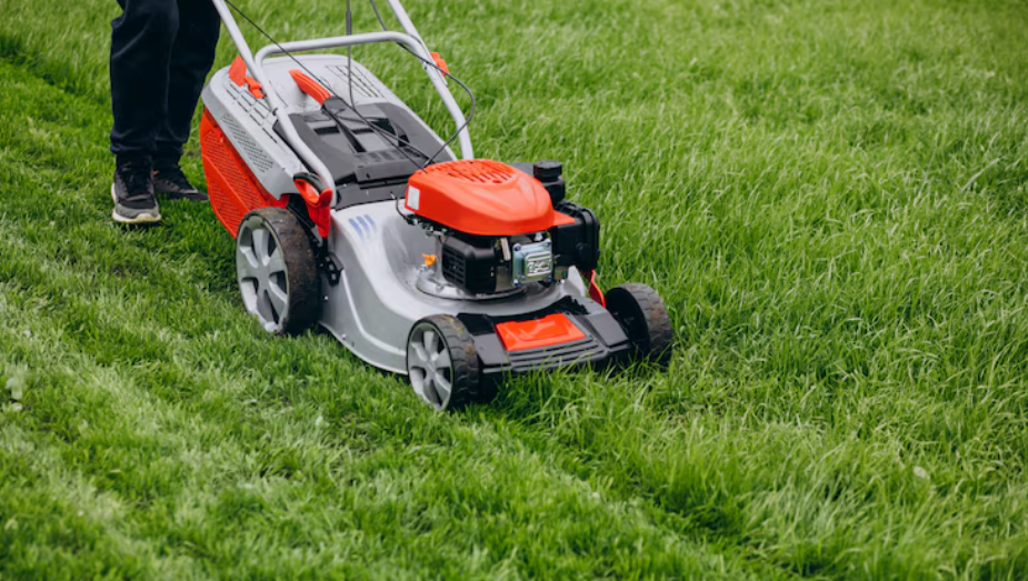 How Lawn Maintenance Services Help You Achieve a Clean and Green Outdoor Space Lawn Maintenance Services