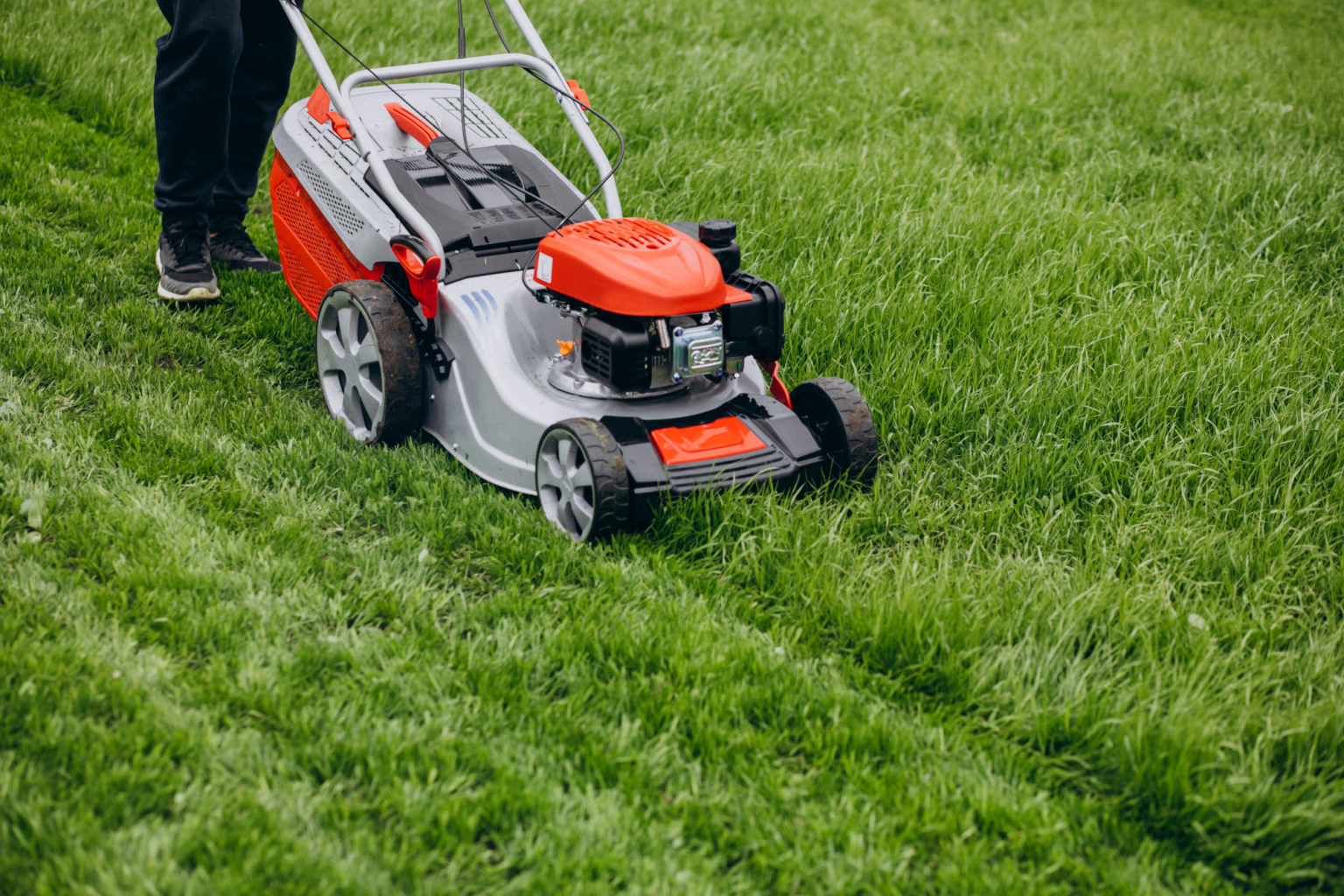 What Is Included in Commercial Green Landscaping Equipment Landscaping
